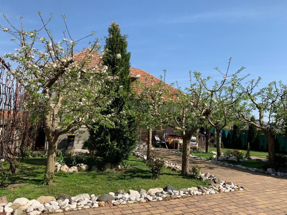 Willa Casa Lui Mosu Alba Iulia Zewnętrze zdjęcie