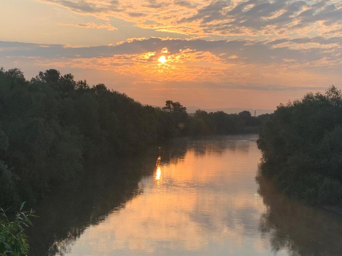 Willa Casa Lui Mosu Alba Iulia Zewnętrze zdjęcie